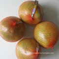 Good Quality of Fresh Sweet Pomelo